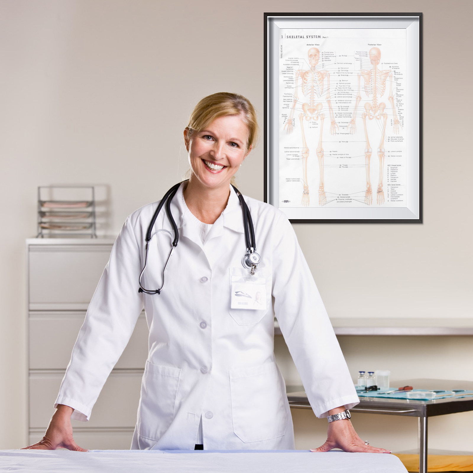 Anatomische poster met gedetai - Interior Design Education recensie en prijs