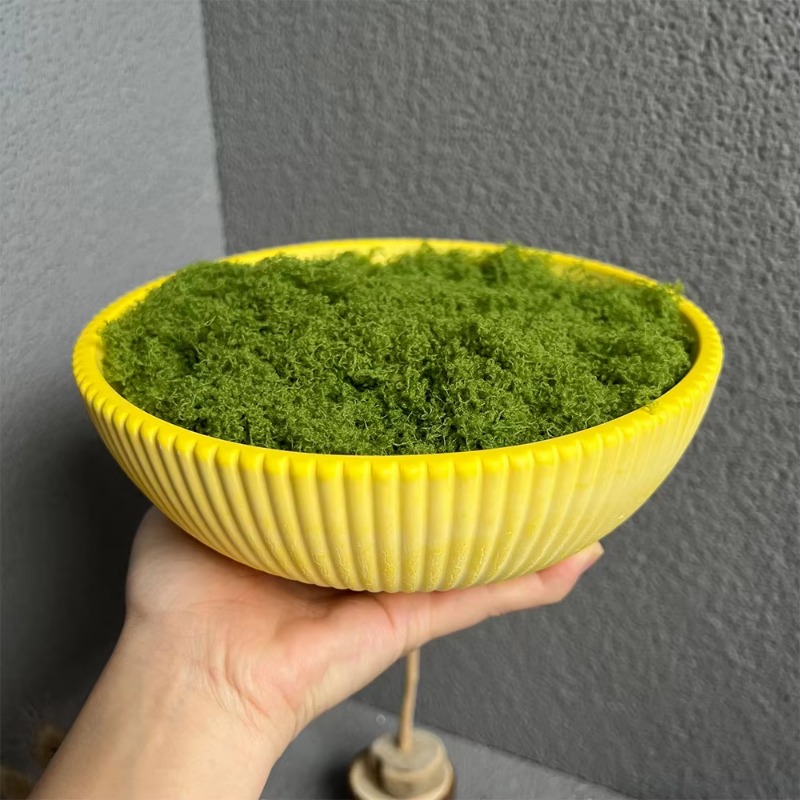 Een hoogwaardige grote gestree - Terrazzo Pot Cement recensie en prijs